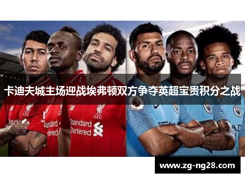 卡迪夫城主场迎战埃弗顿双方争夺英超宝贵积分之战